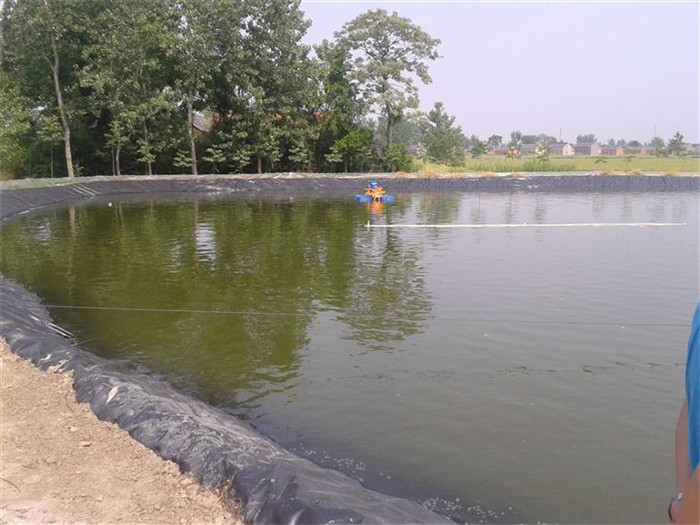 1644836860785188.jpg 1-1Z506101926.jpg