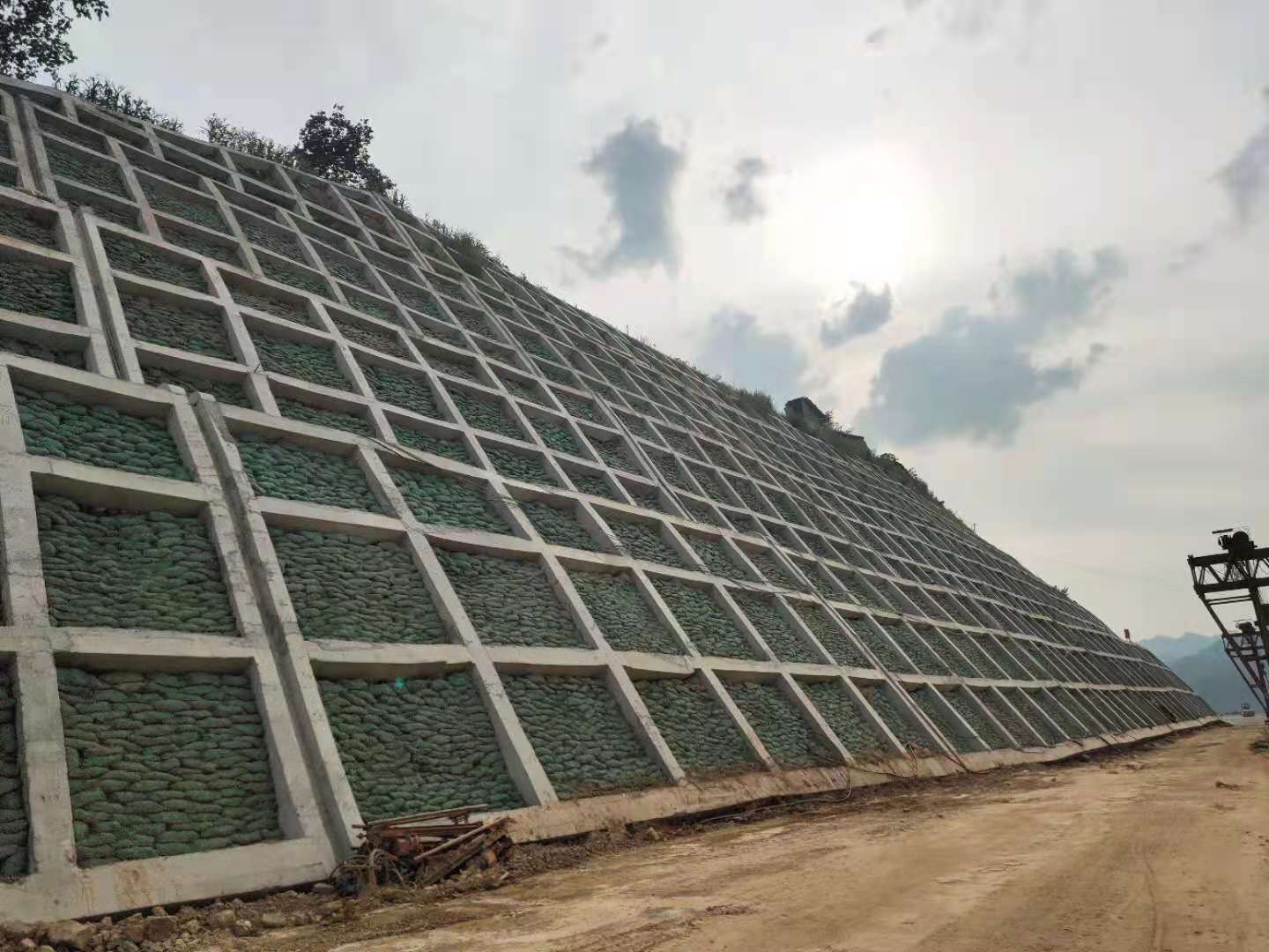 太原黄龙高速公路绿化1标段